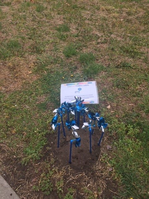 completed pinwheel garden at Parks Edge